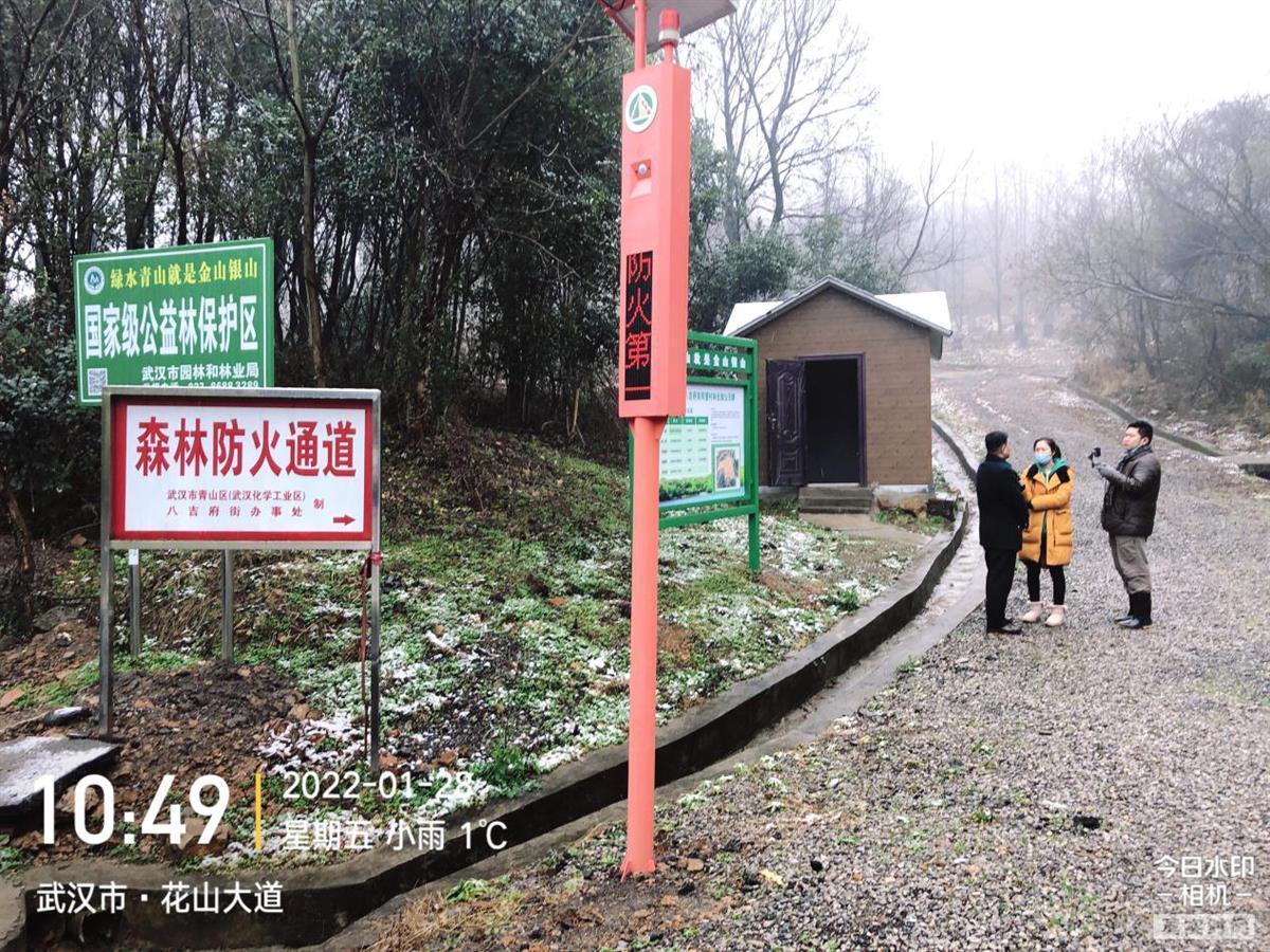武汉织密森林“防火网”！千余护林员每日巡查 智能摄像头监控90万亩生态林