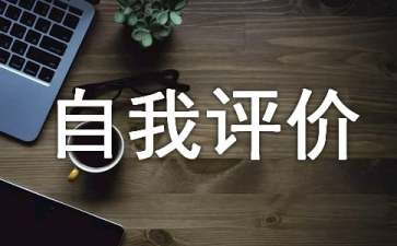 it工程师自我评价15篇