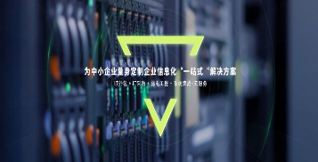运维服务管理体系_服务器运维技术_运维项目服务巡检报告